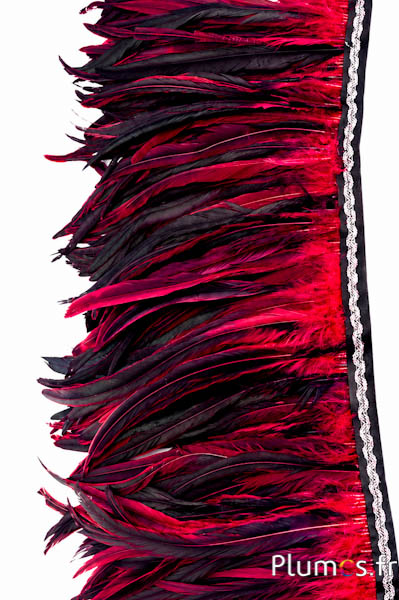 Collo di gallo bordo argentato - lungh. piume 25-32 cm - nero-carminio